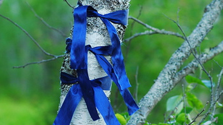 Three blue ribbons tied around a tree