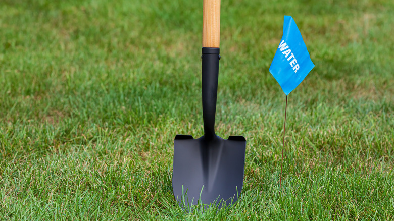 A shovel next to a blue utility flag in the grass