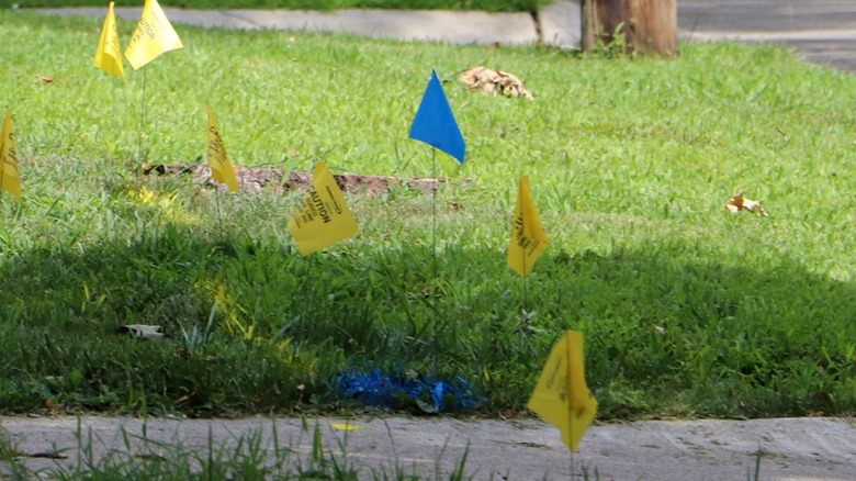A blue utility flag and ground marking next to other utility flags and markings in the grass