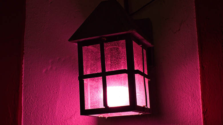 An outdoor lantern with a pink bulb