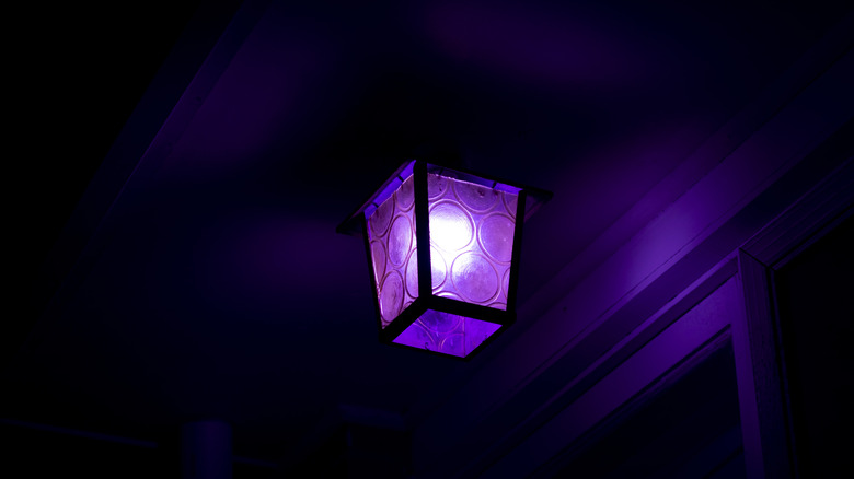 A lantern with a purple bulb at night