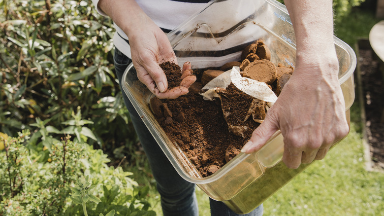 Woman holding a box filled with used coffee grounds