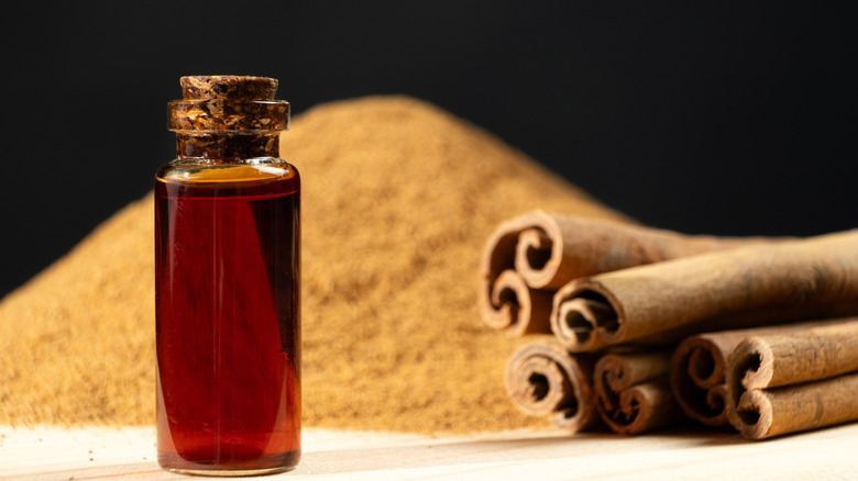 Glass bottle of cinnamon oil on the background of cinnamon sticks and ground cinnamon