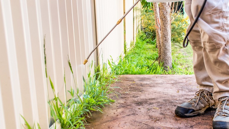 Person spraying weeds at the bottom of a fence