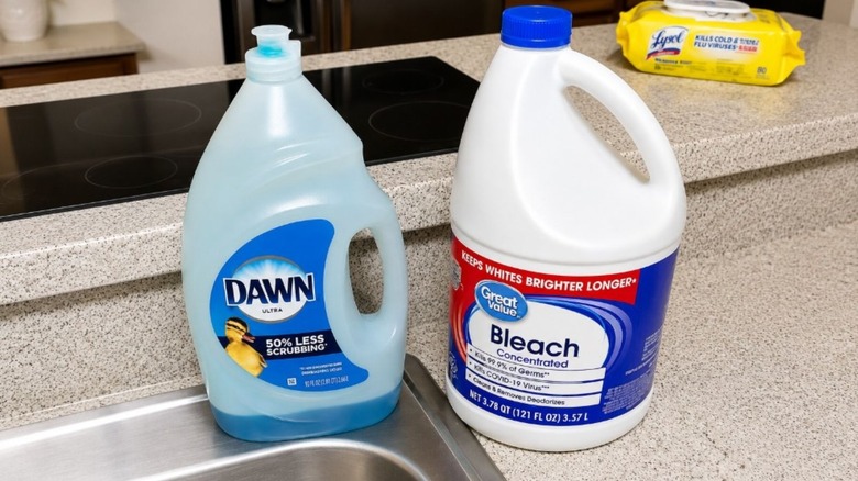 Bottle of Dawn and a bottle of bleach sitting on a kitchen counter