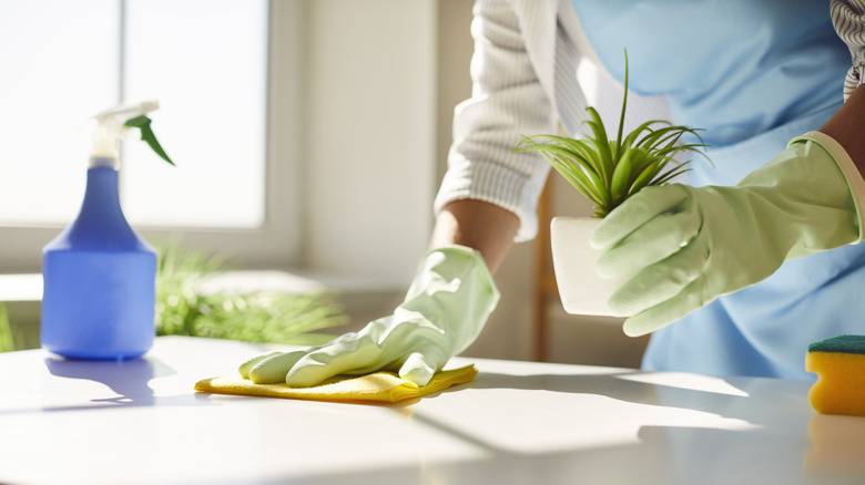 Woman wiping counter