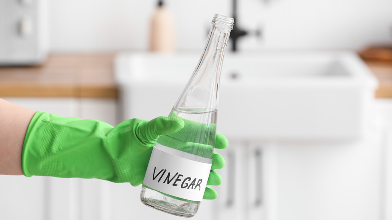 Gloved hand holding a glass bottle of white vinegar
