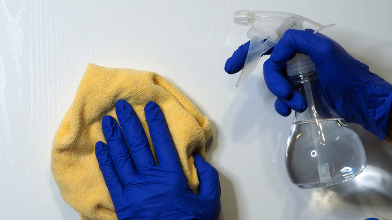 Person cleaning with a spray bottle of white vinegar