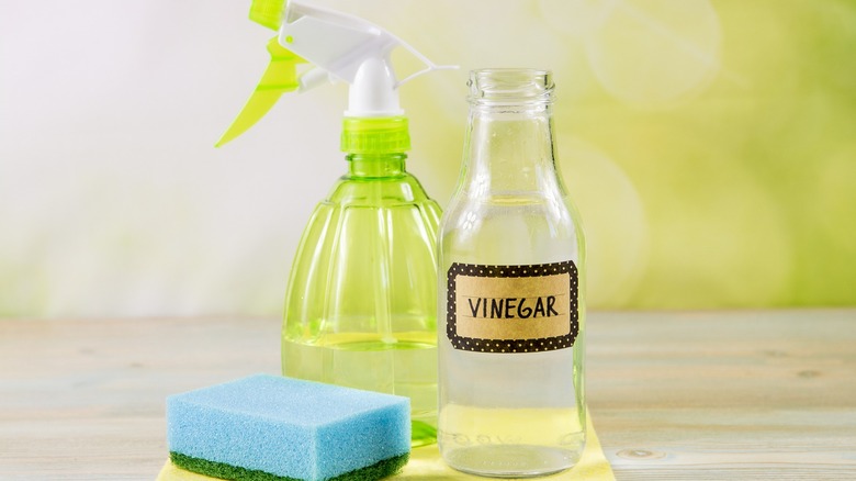 Cleaning supplies: Vinegar, spray bottle and sponge