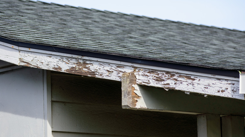 damaged wood roof