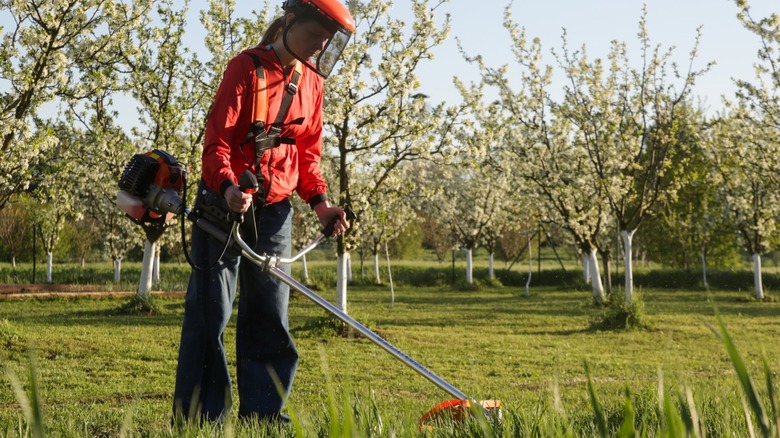 Worker cutting brush with a gas-powered weed trimmer