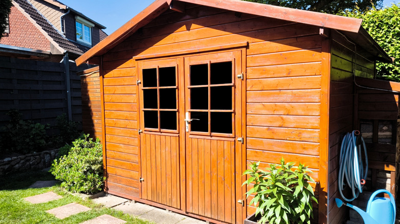 A wooden shed in morning or evening sun, surrounded by plants