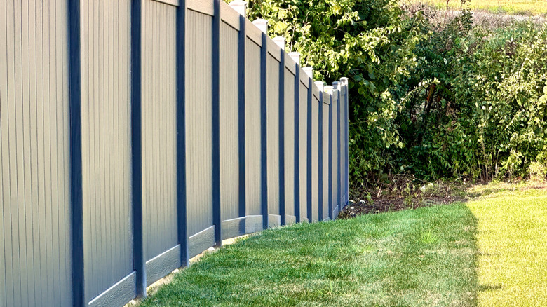 Modern backyard privacy fence marking a property line with green grass and trees
