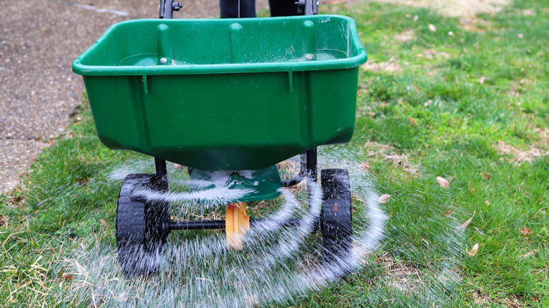 A seed and fertilizer spreader laying grass seed on a lawn