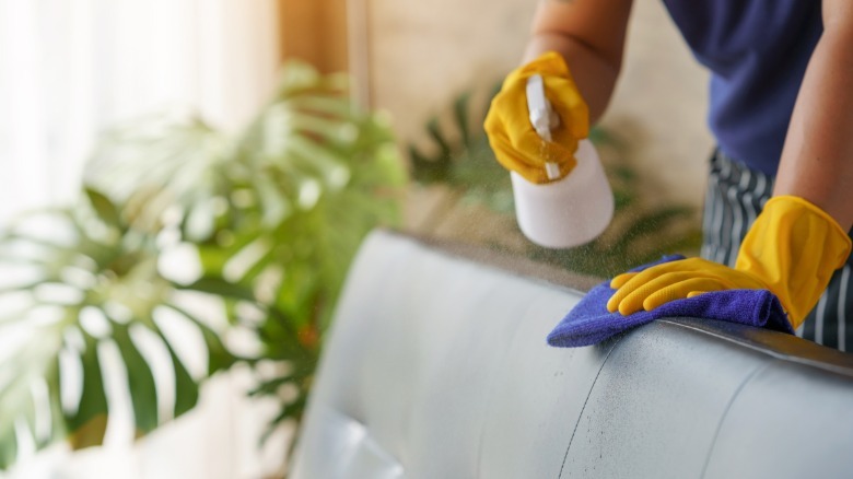 a person sprays and wipes a leather couch