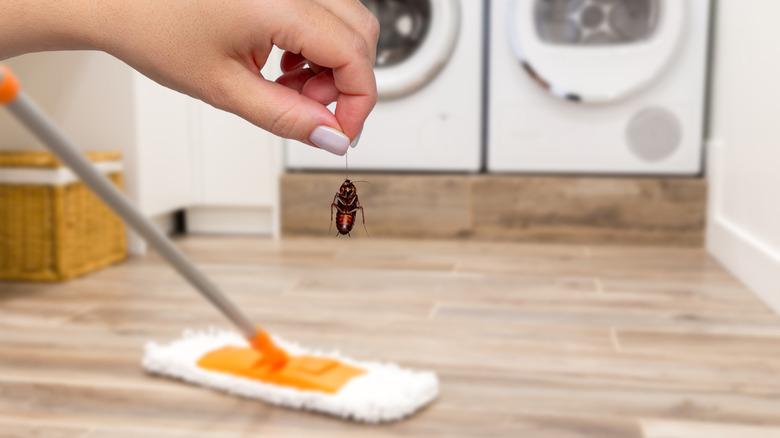 A person holds up a dead cockroach with a mop in the background