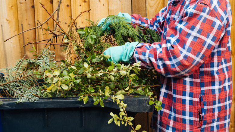 person throwing away yard debris