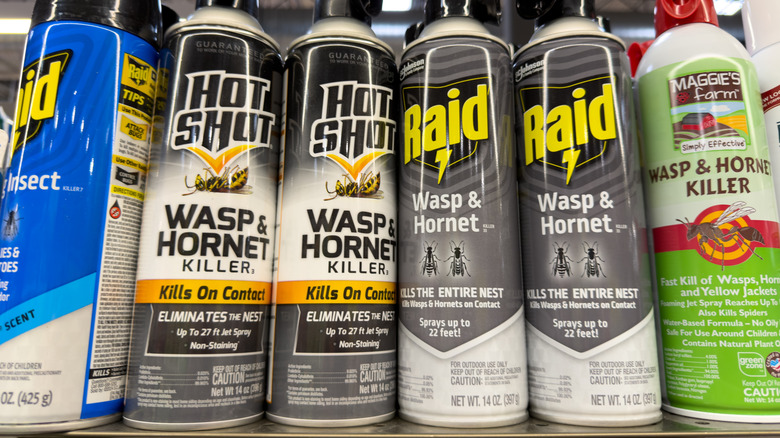 A collection of wasp insecticides on a shelf at a store