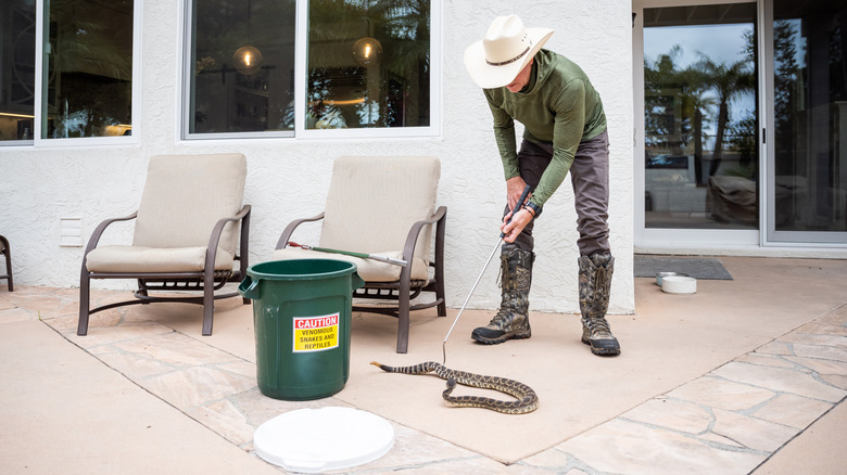 A wildlife removal expert removes a rattlesnake from a backyard patio