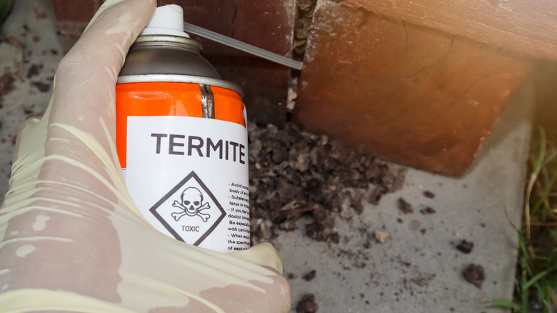 Hand spraying a termite-killing chemical in the cracks of a wood furniture