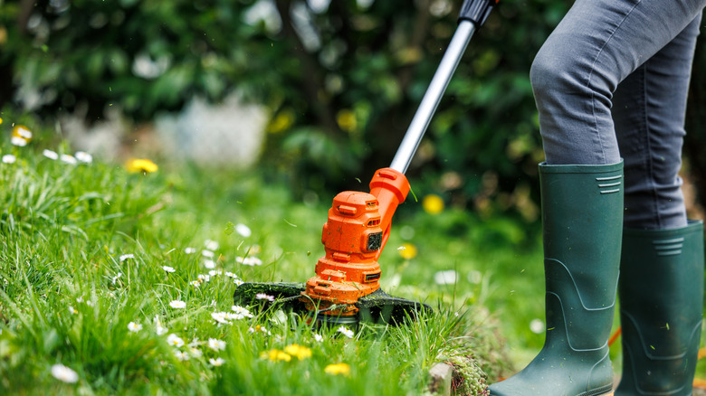 Trimming the lawn and removing weeds keeps ticks away.