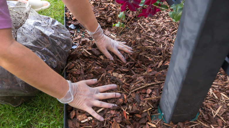 A person kneels to add brown mulch to a landscaped bed