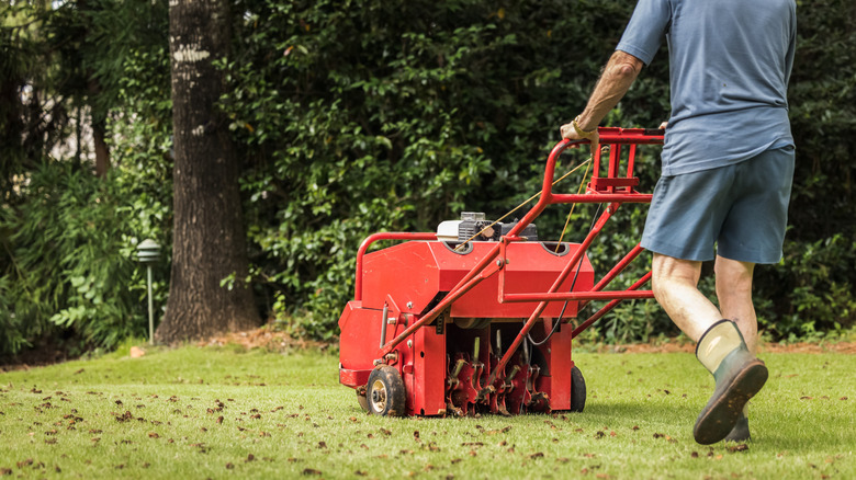 A person aerating a lawn