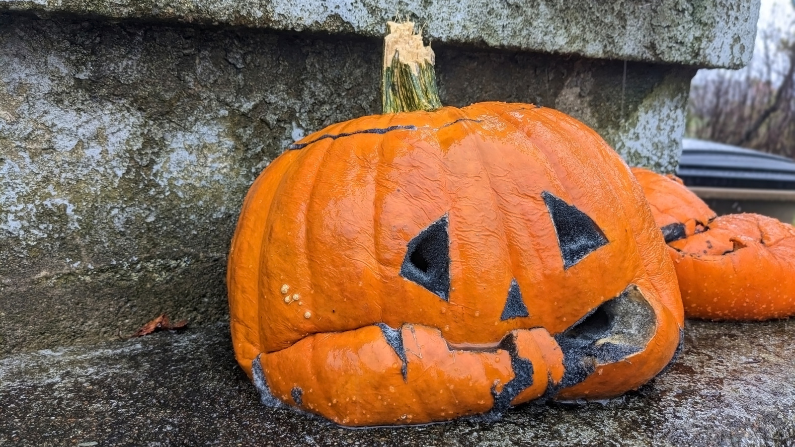 What You Can Do With Your JackO'Lantern After Halloween Is Over