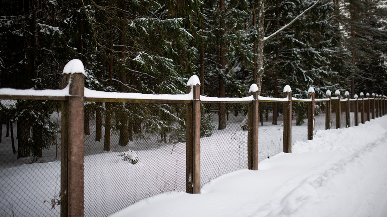 A length of California-style chain-link fencing, with wooden posts and railings, covered with snow with forest in the background.
