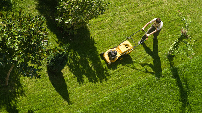 Overhead shot of someone mowing the lawn