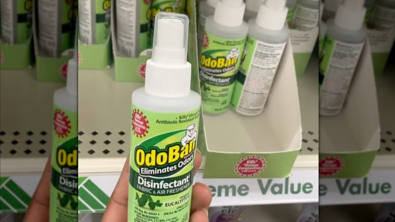 A person holds a small bottleof OdoBan Disinfectant Spray in front of a Dollar Tree display
