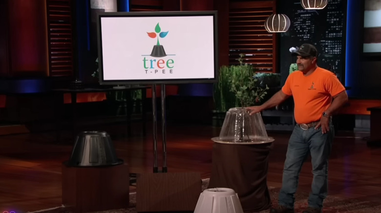The owner of Tree T-Pee on NBC's Shark Tank making a business presentation.
