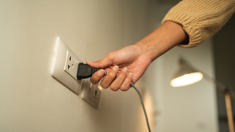 A woman holding a standard 2-prong lamp cord