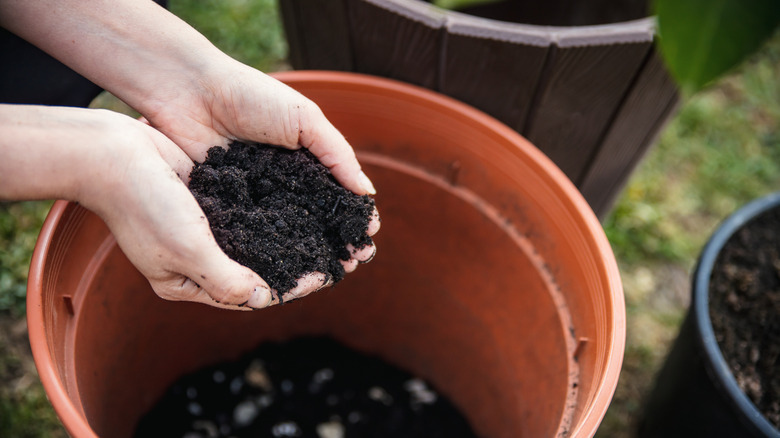 Woman's hands filling large, well-draining orange plant pot with soil