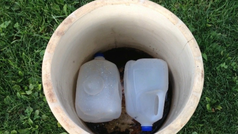 Milk jugs at the bottom of large planter