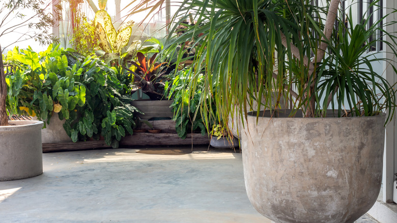 Large planter in foreground of patio