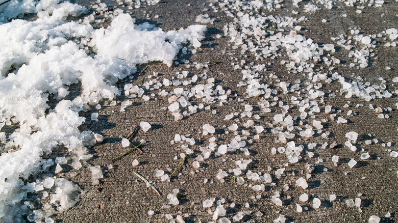 Rock salt on sidewalk