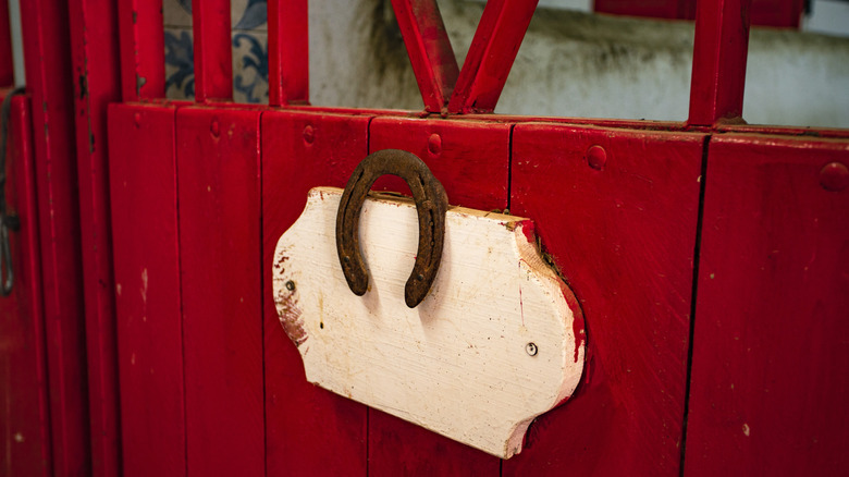 Rusty horseshoe hanging on door