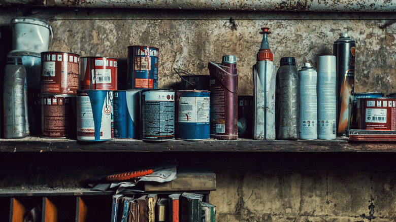 Shelf of chemicals in a typical garage
