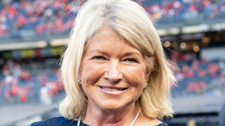 martha stewart wearing blue top while outdoors
