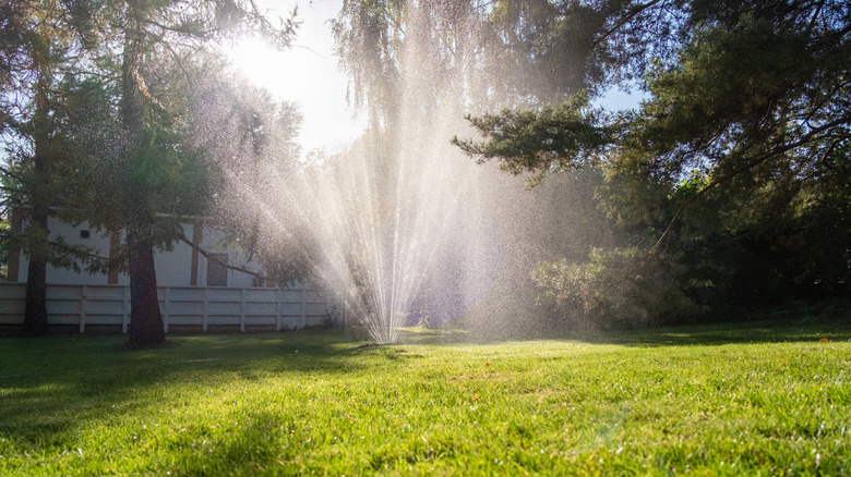 A sprinkler watering a lawn on a sunny day