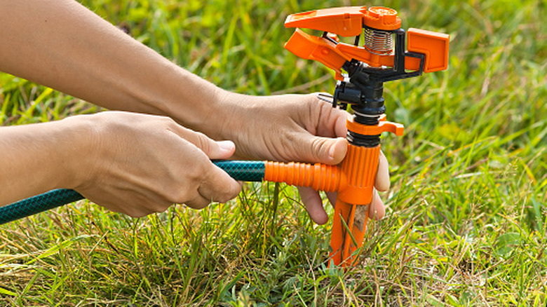 Hands installing a lawn sprinkler in a lawn