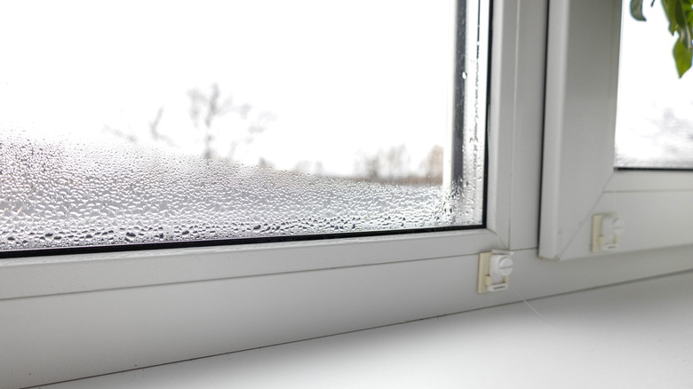 Close up view of condensation on white framed windows