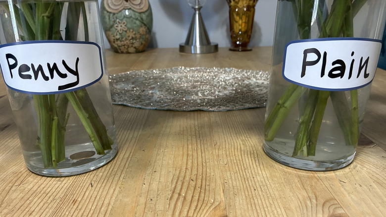 Two flower vases on kitchen table during penny trick test