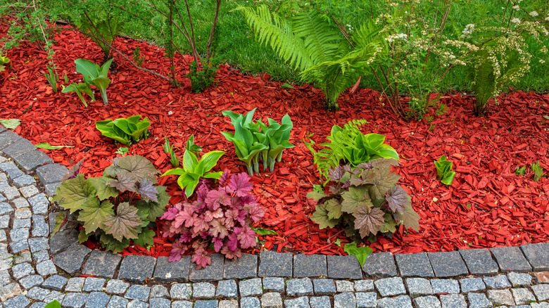 Red mulch along walking path