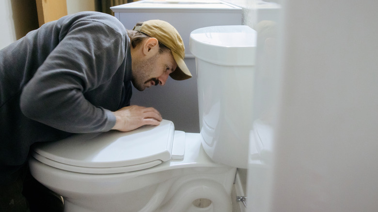 A woman fixes a toilet seat