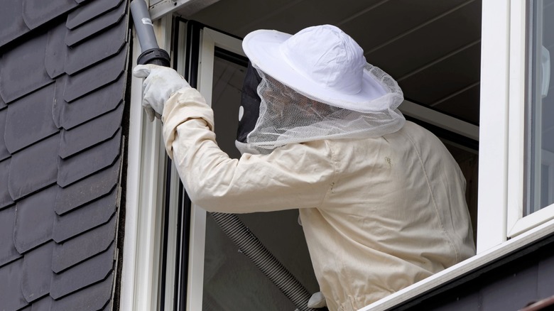 a person in protective clothing treats a wasp nest with a vacuum