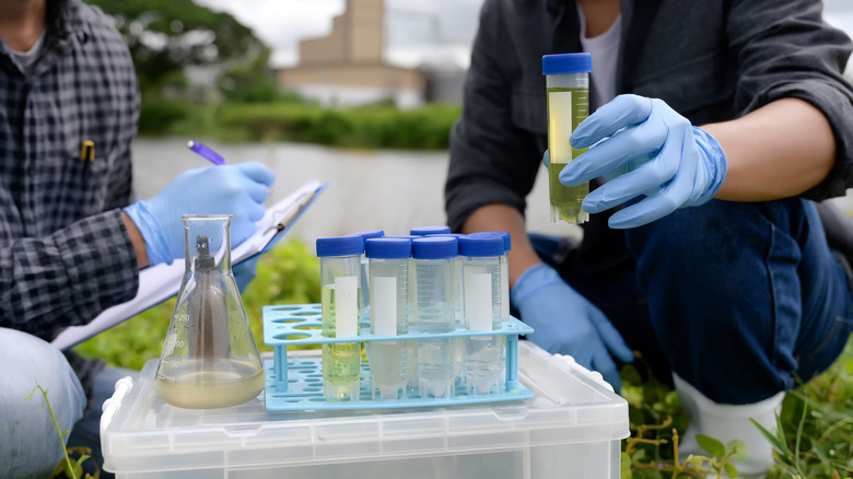 A pair of scientists perform water quality testing with test tubes and a beaker.