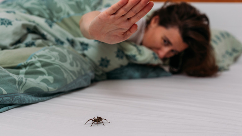 Person about to squash a spider in a bedroom