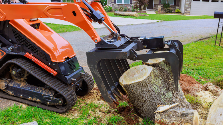 A skidsteer works to grab a tree stump for removal